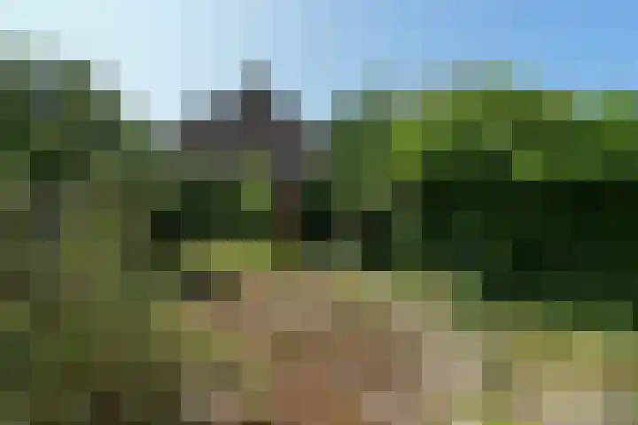 Kanunnik van Mulicomstraat 5 Nijmegen thumbnail 33