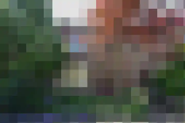 Kanunnik van Mulicomstraat 5 Nijmegen thumbnail 41