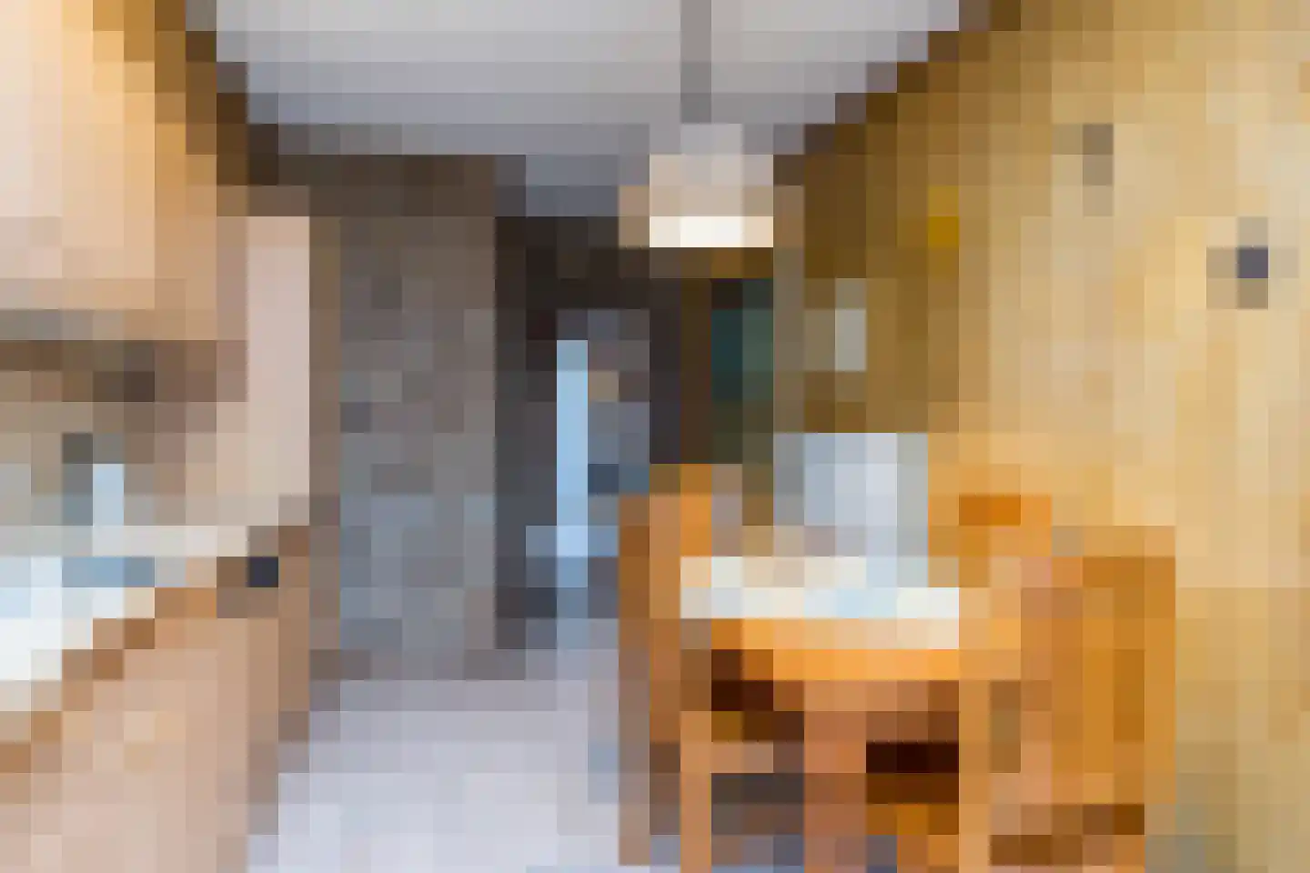 Kanunnik van Nuijsstraat 18 Schinveld thumbnail 15