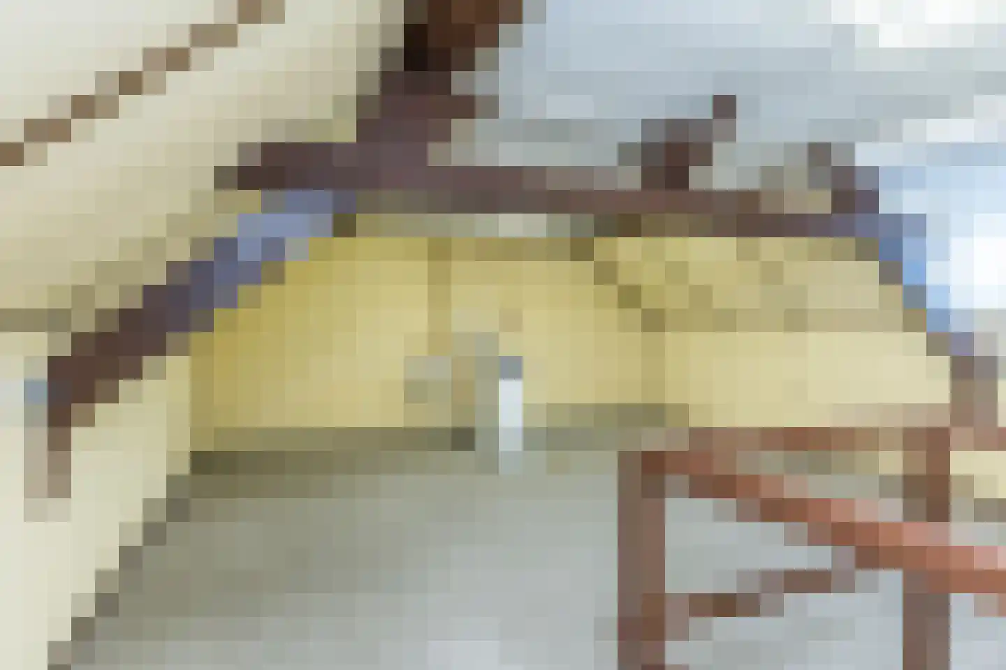 Kanunnik van Nuijsstraat 18 Schinveld thumbnail 27