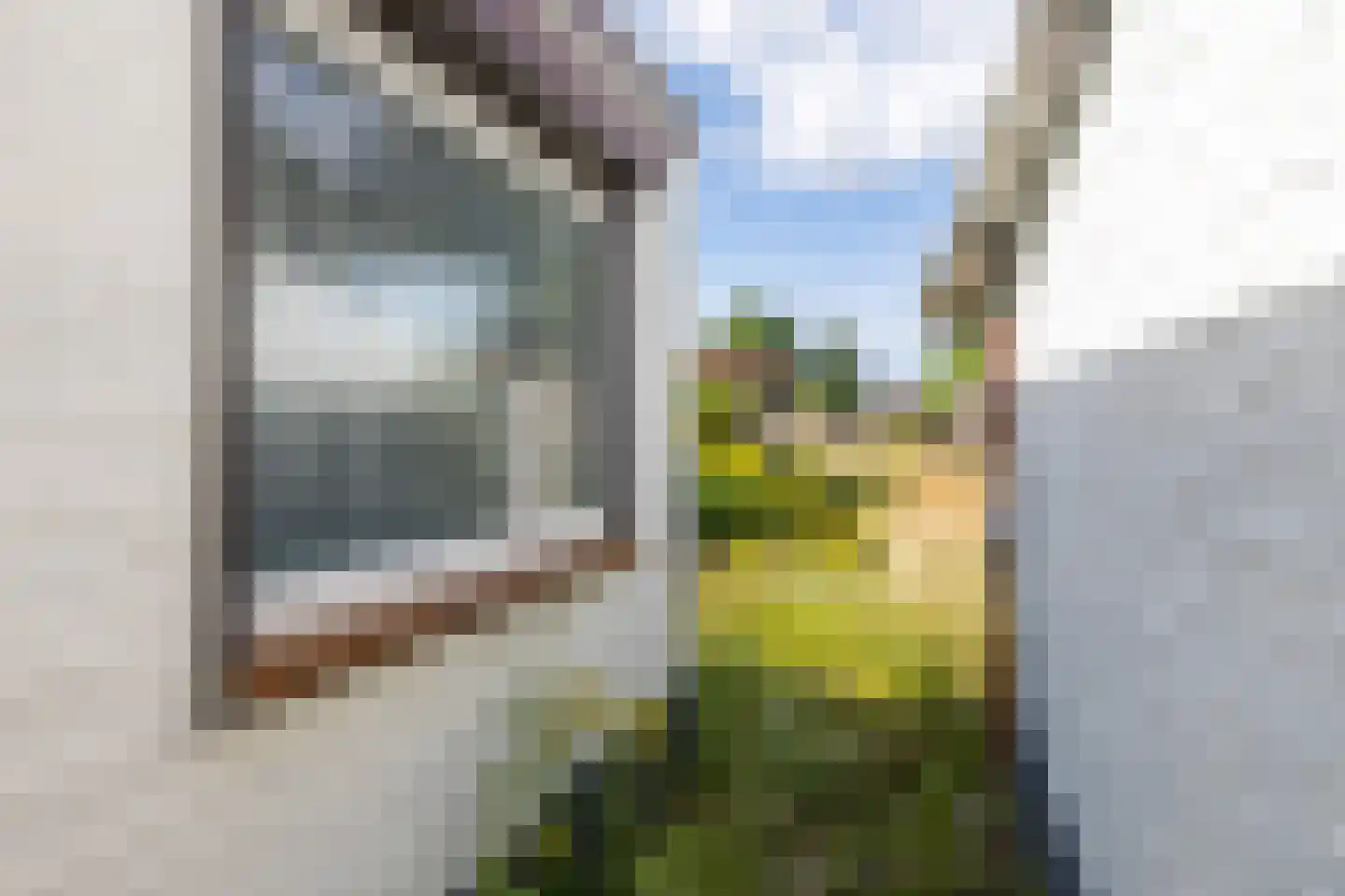 Kanunnik van Nuijsstraat 36 Schinveld thumbnail 25