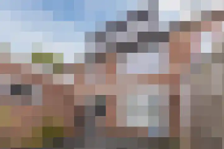 Kanunnik van Osstraat 30 Nijmegen thumbnail 11