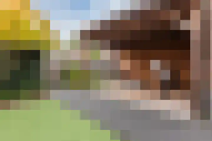 Kanunnik van Osstraat 30 Nijmegen thumbnail 7