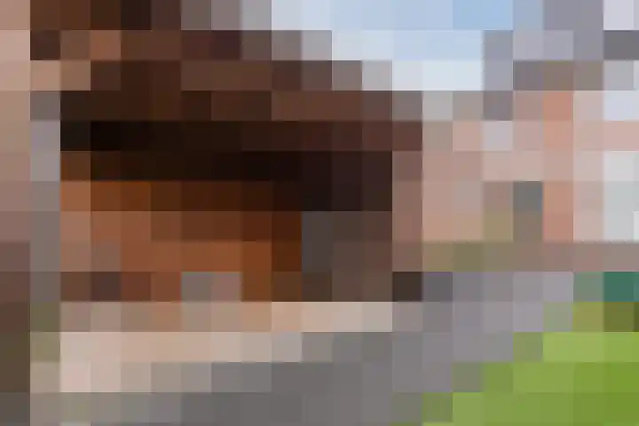 Kanunnik van Osstraat 30 Nijmegen thumbnail 8