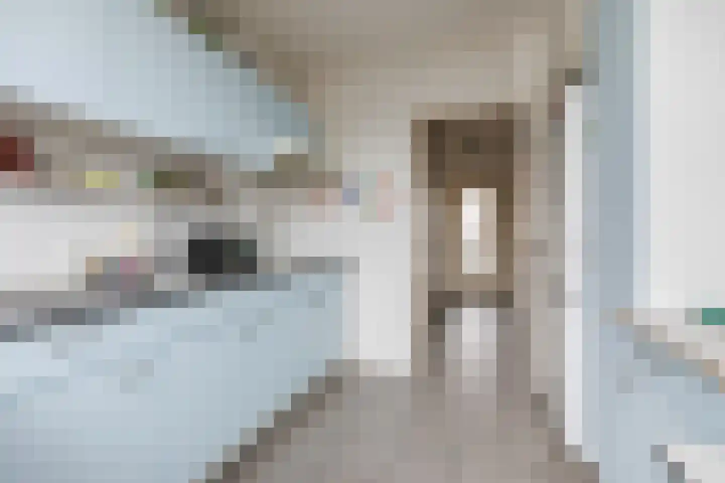 Kanunnik van Osstraat 53 Nijmegen thumbnail 10
