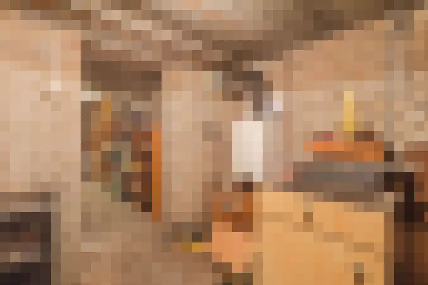 Kanunnik van Osstraat 53 Nijmegen thumbnail 43