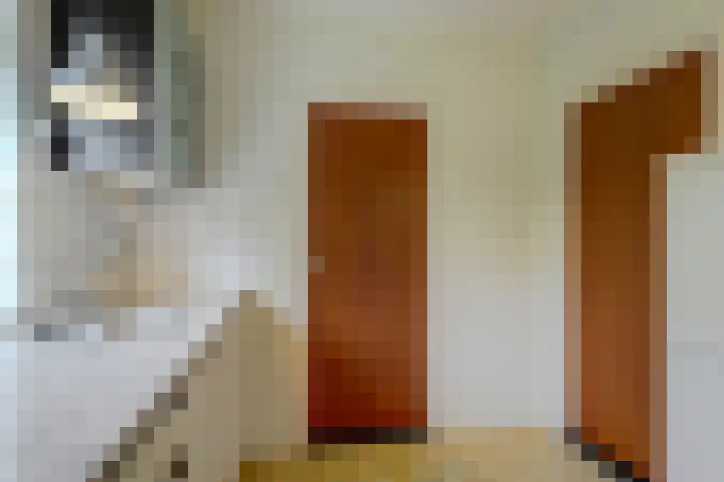 Kanunnik Willemsestraat 17 Sint Odiliënberg thumbnail 12