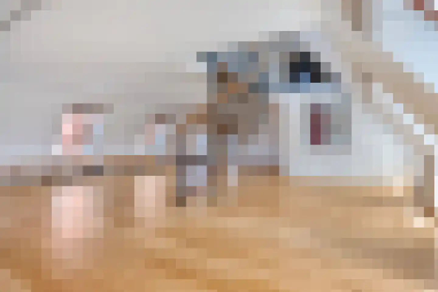 Kanunnikencour 7 A Maastricht thumbnail 7