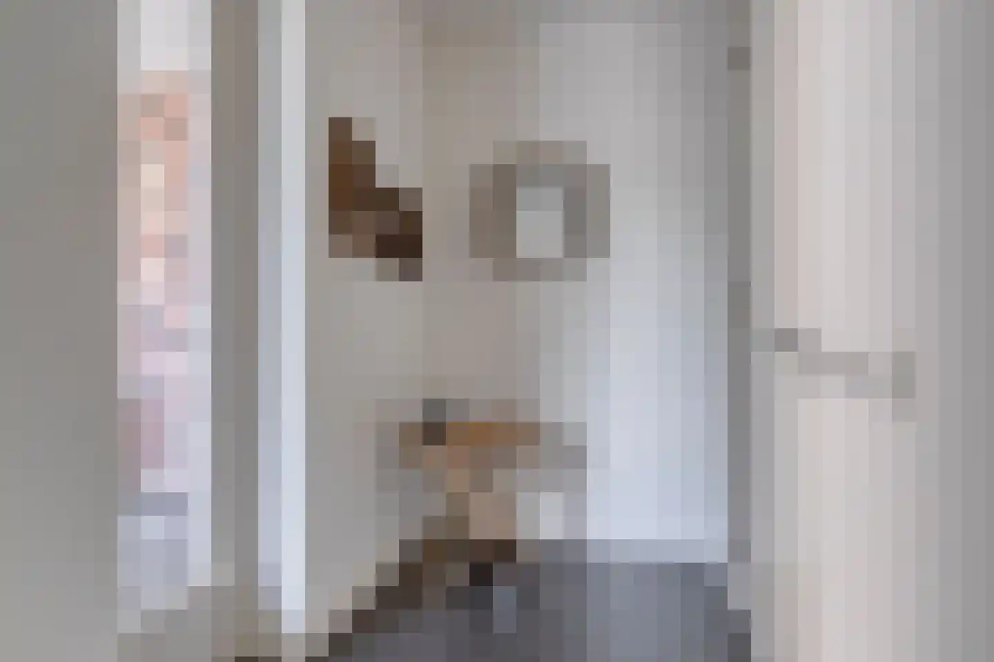 Kanunnikensteeg 4 Oirschot thumbnail 21