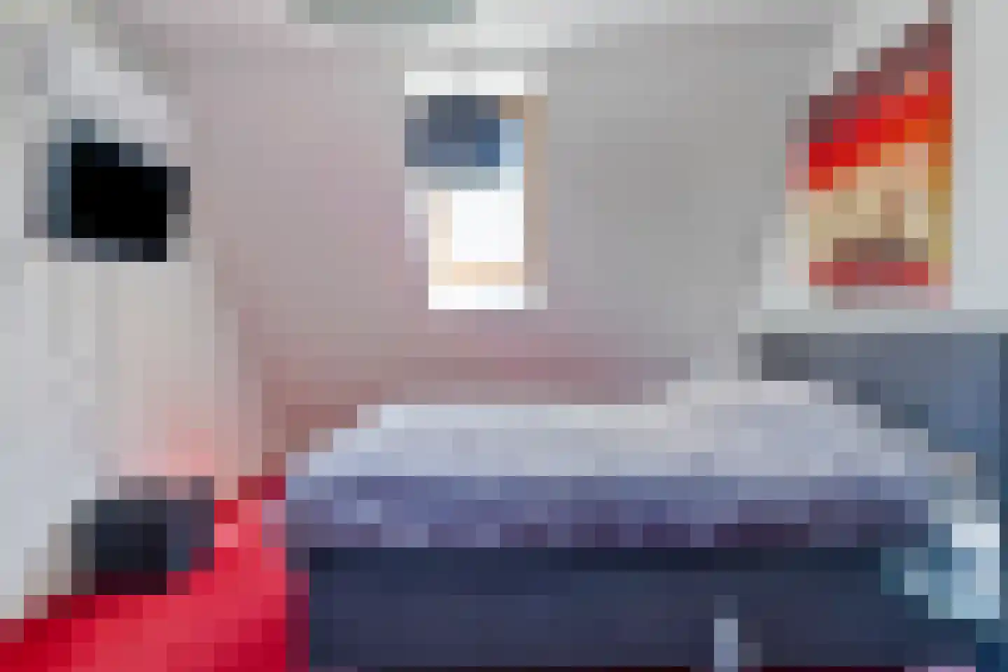 Kanunnikensteeg 4 Oirschot thumbnail 27