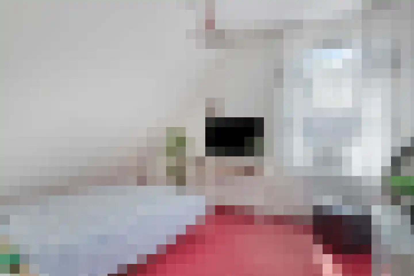 Kanunnikensteeg 4 Oirschot thumbnail 32