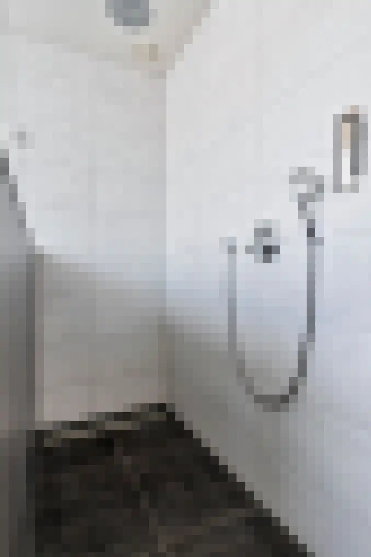 Kanunnikensteeg 4 Oirschot thumbnail 34