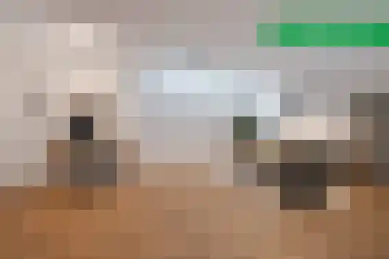 Kanunnikensteeg 4 Oirschot thumbnail 38