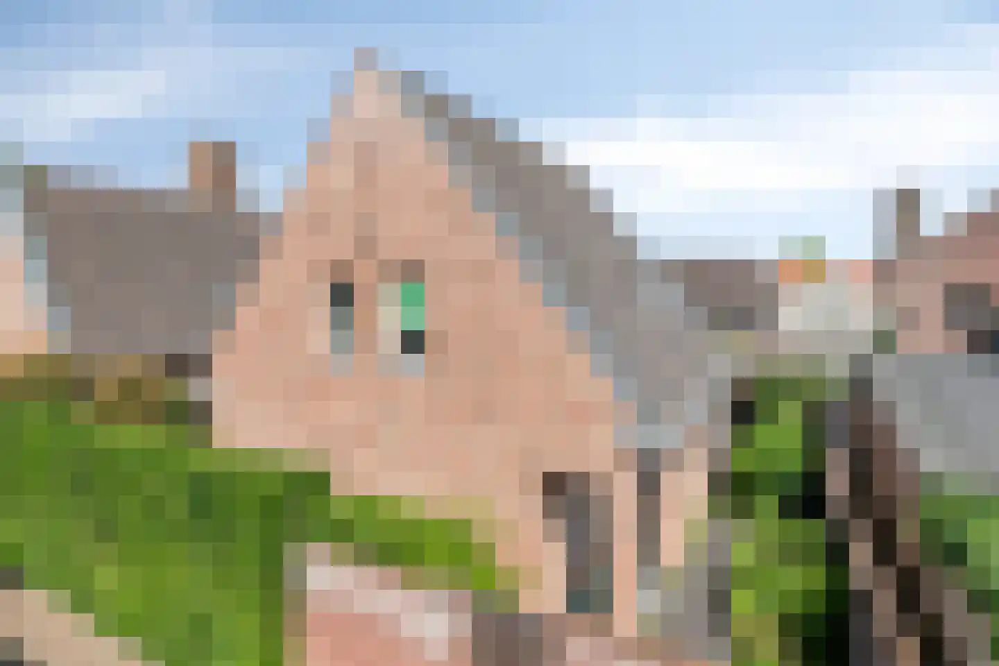 Kanunnikensteeg 4 Oirschot thumbnail 6