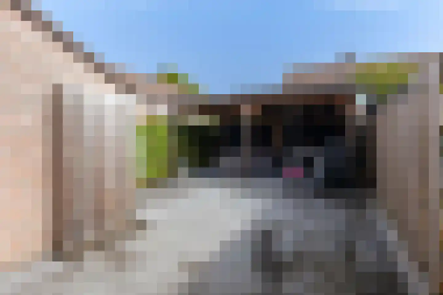 Kap 14 Hoorn thumbnail 37