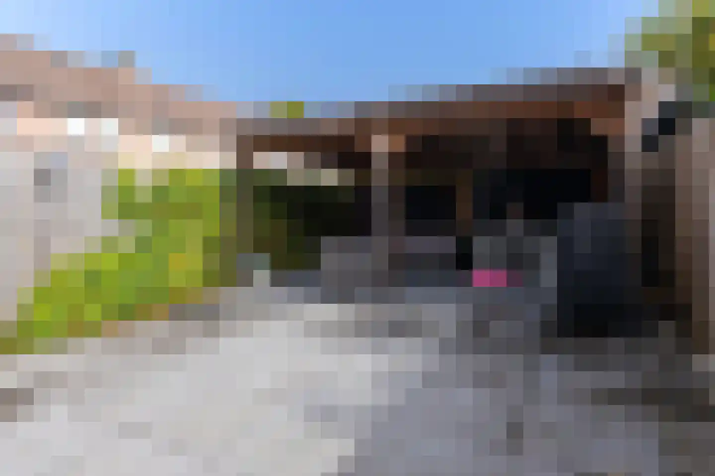 Kap 14 Hoorn thumbnail 39