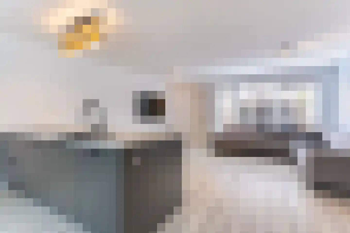 Kap 14 Hoorn thumbnail 5