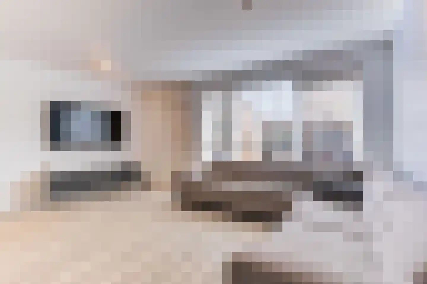 Kap 14 Hoorn thumbnail 6