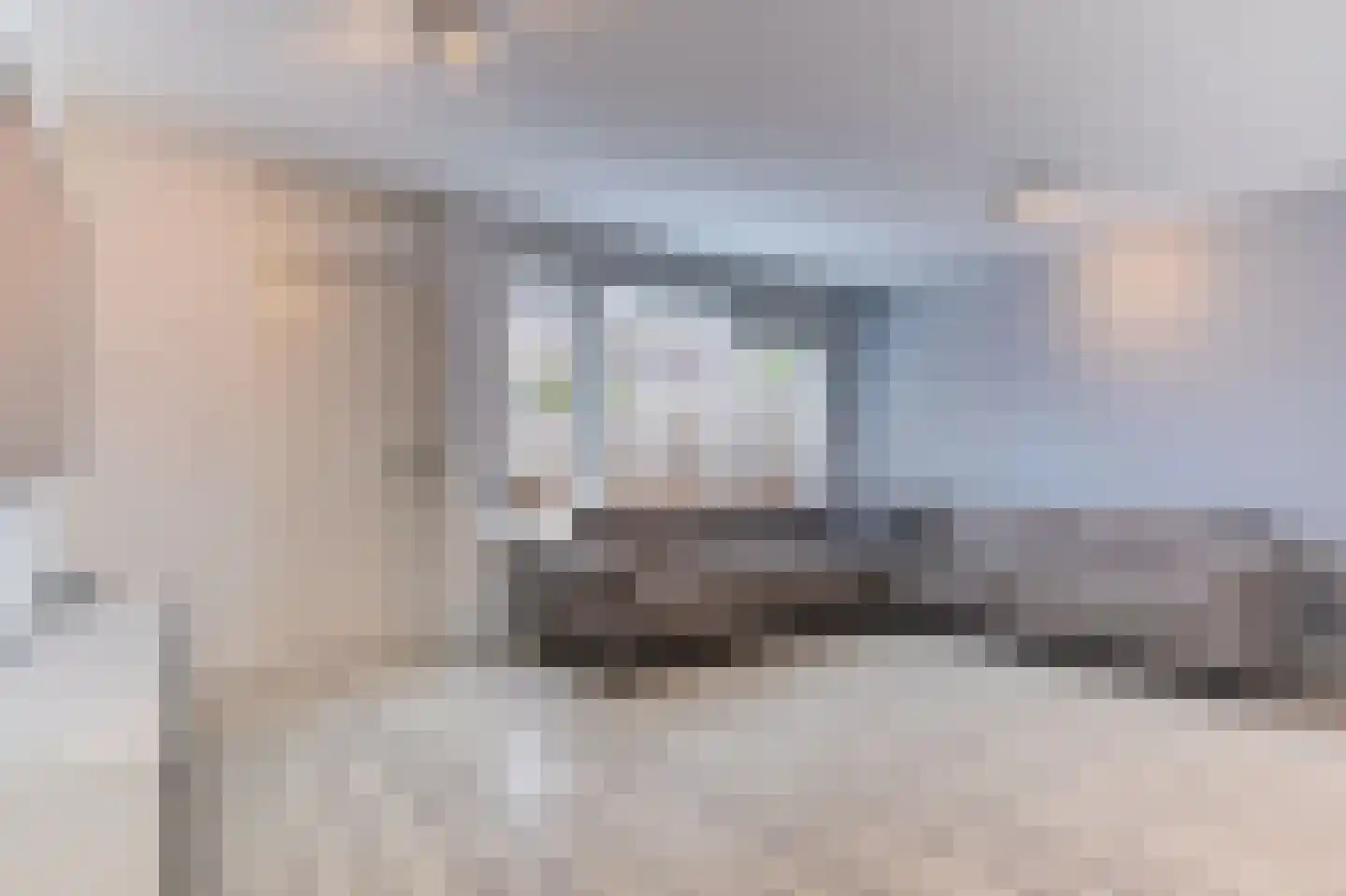 Kap 14 Hoorn thumbnail 7