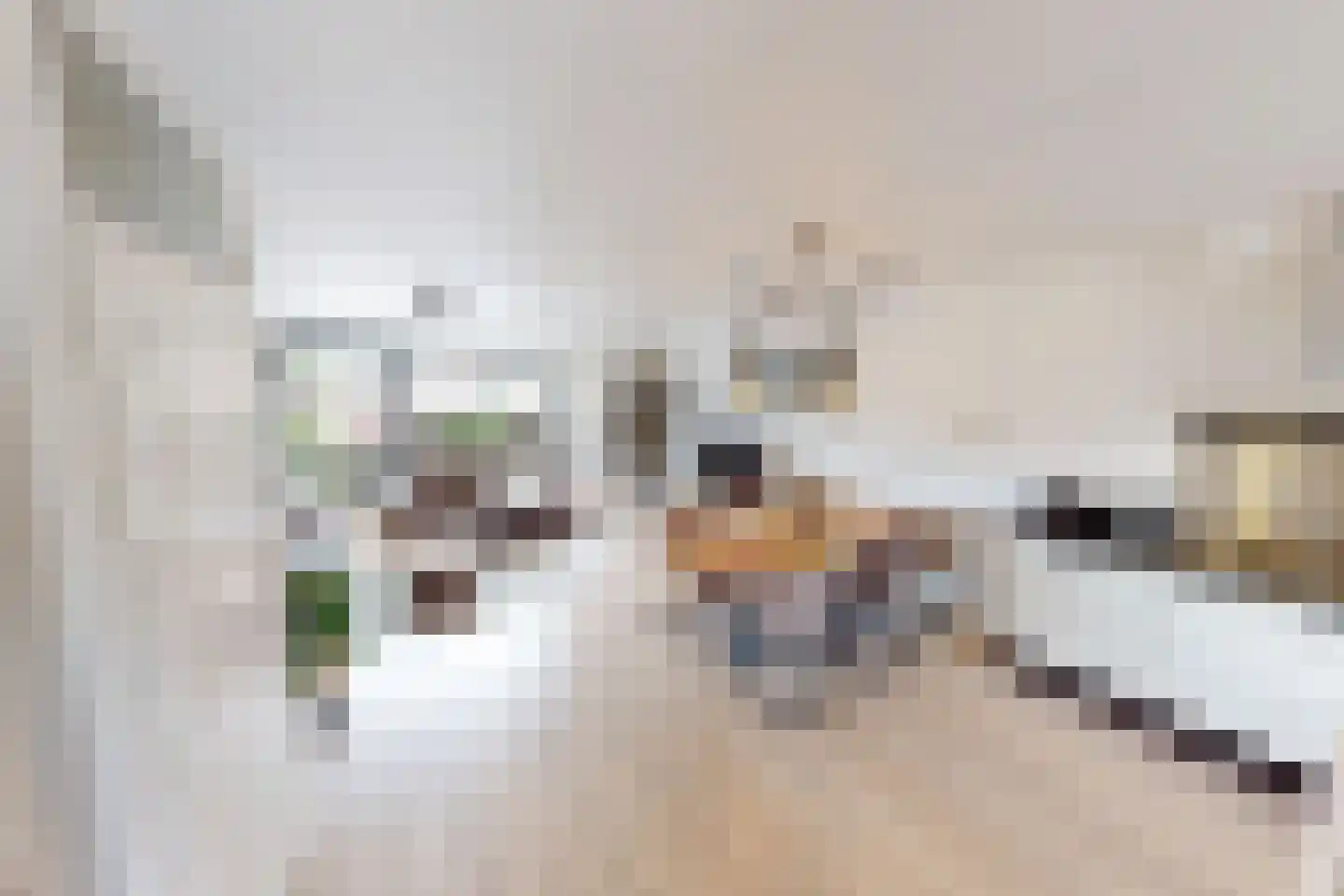 Kap 17 Hoorn thumbnail 13
