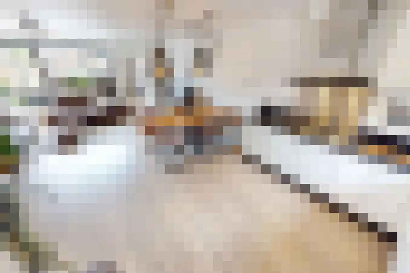 Kap 17 Hoorn thumbnail 16