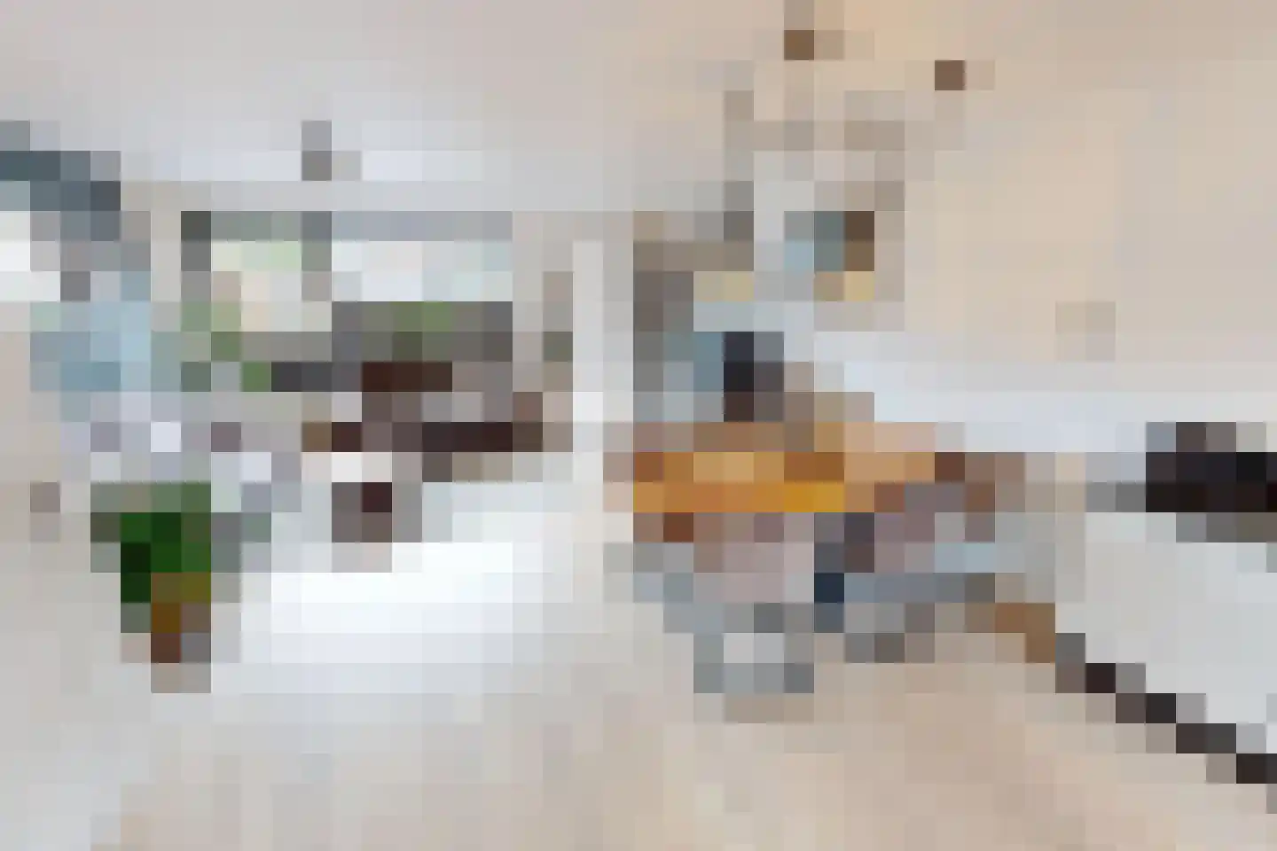 Kap 17 Hoorn thumbnail 17