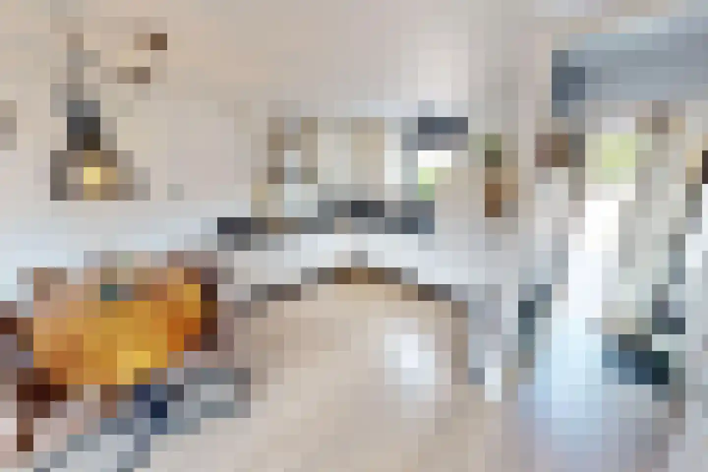 Kap 17 Hoorn thumbnail 18