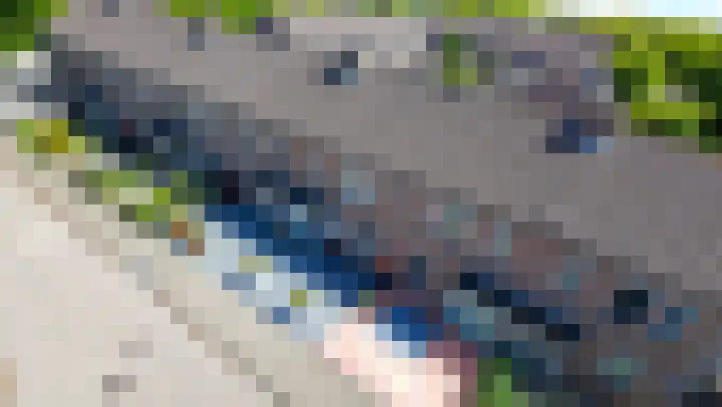 Kap 17 Hoorn thumbnail 4