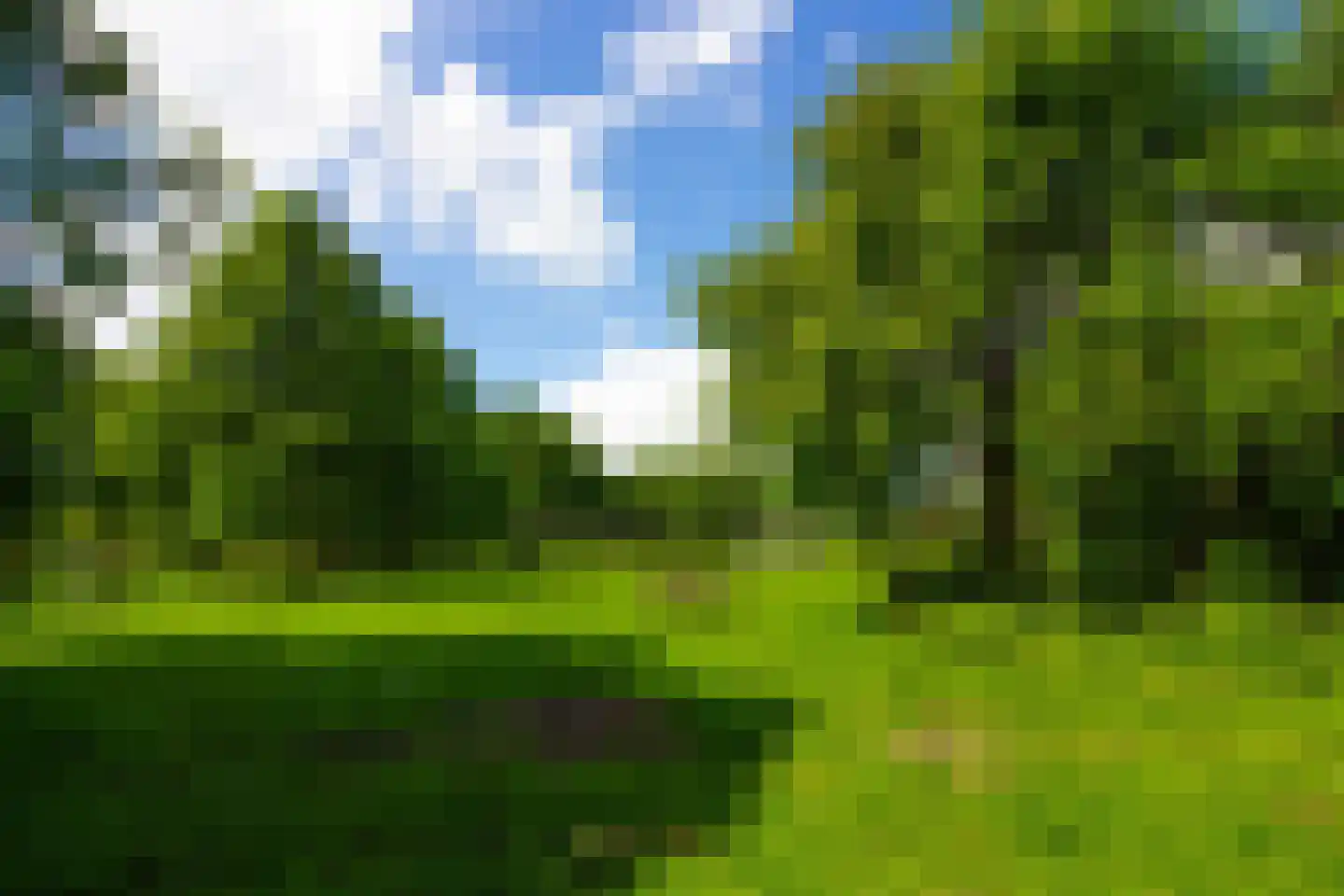 Kap 17 Hoorn thumbnail 58
