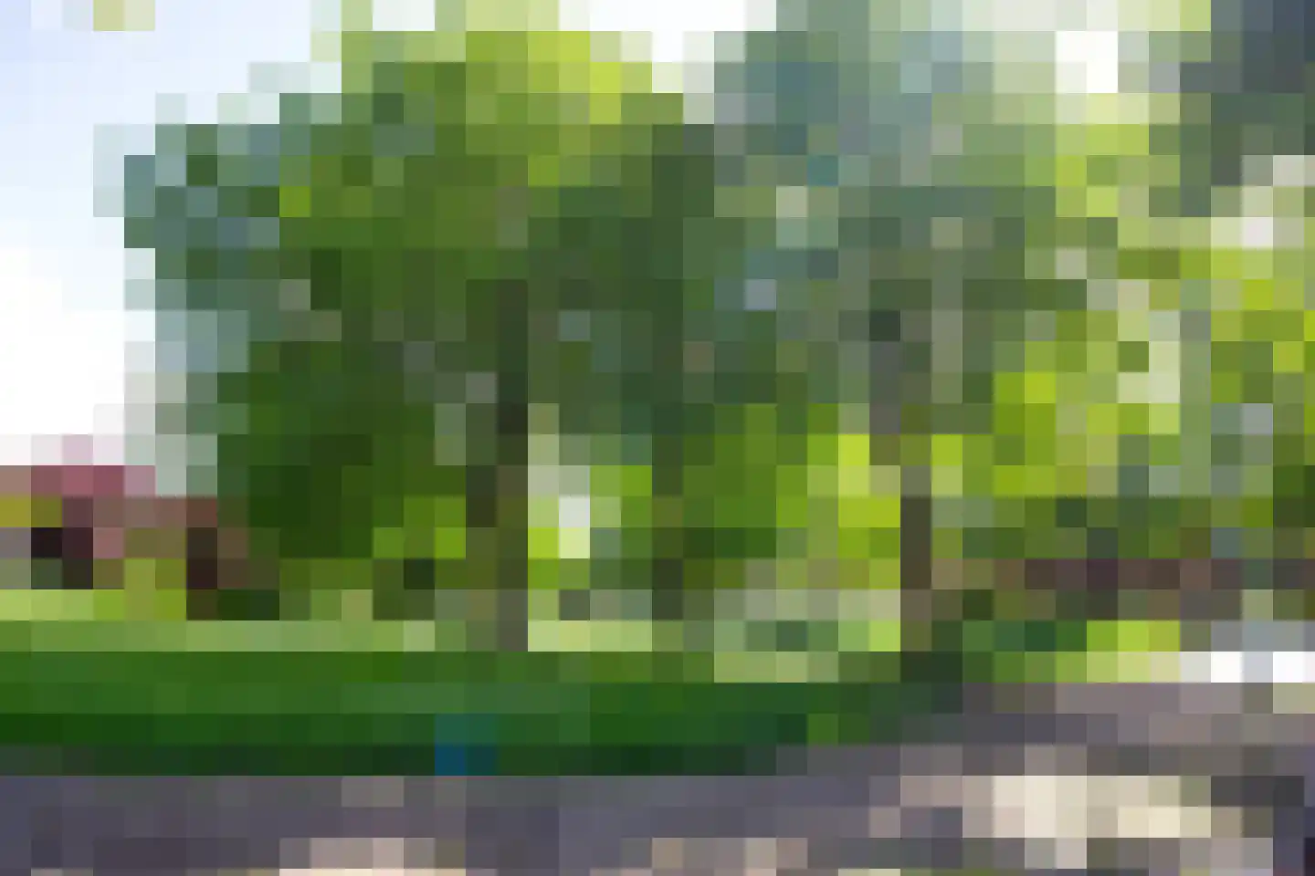 Kap 17 Hoorn thumbnail 59