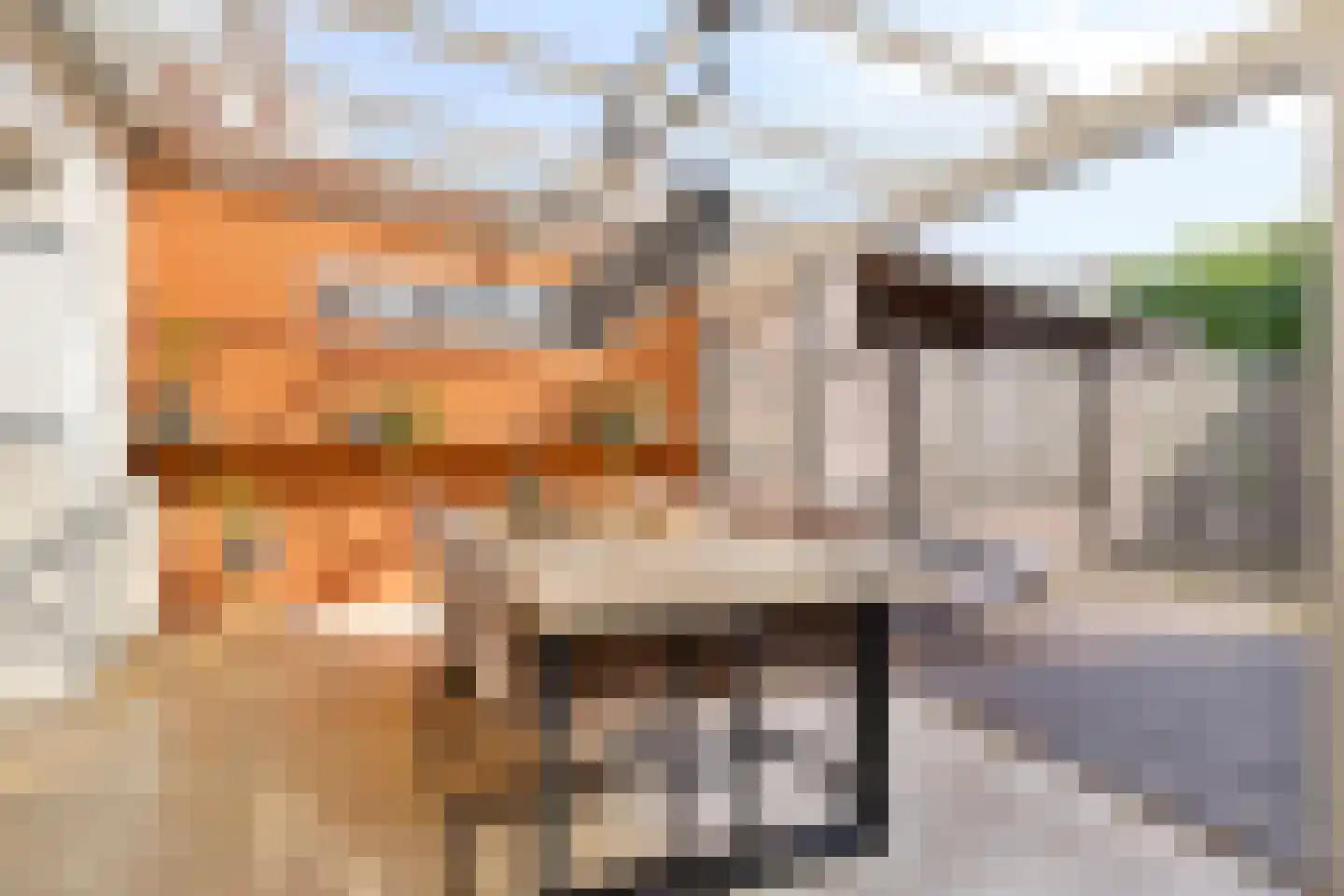 Kap. Verheggenstraat 18 Helden thumbnail 11