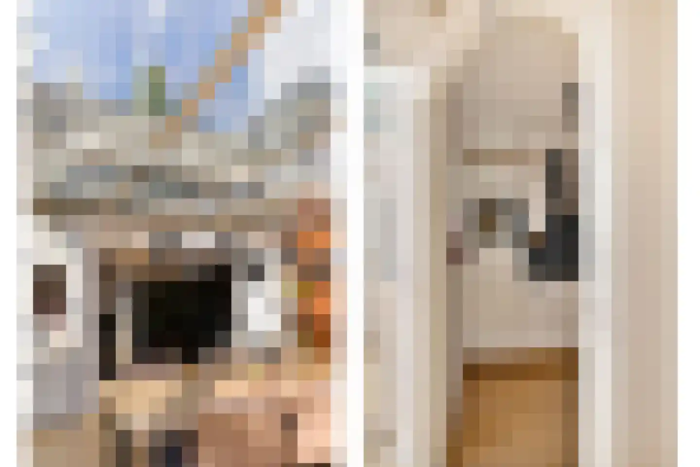 Kap. Verheggenstraat 18 Helden thumbnail 13