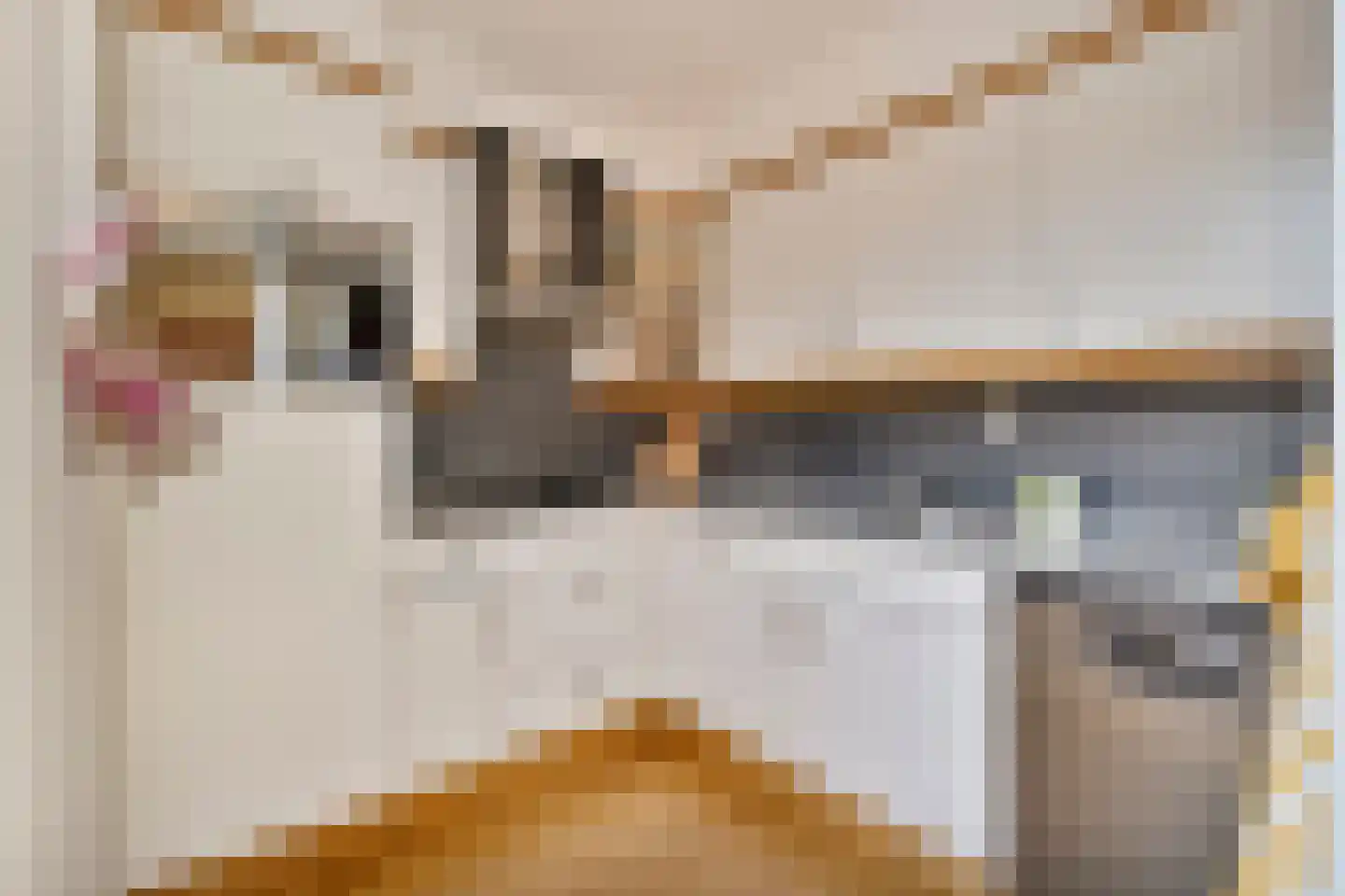 Kap. Verheggenstraat 18 Helden thumbnail 14