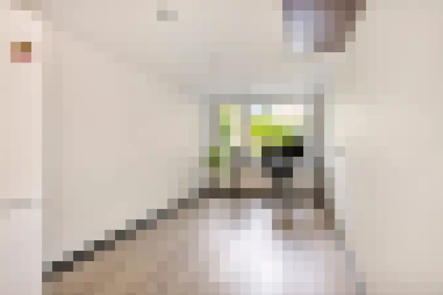 Kap. Verheggenstraat 18 Helden thumbnail 16