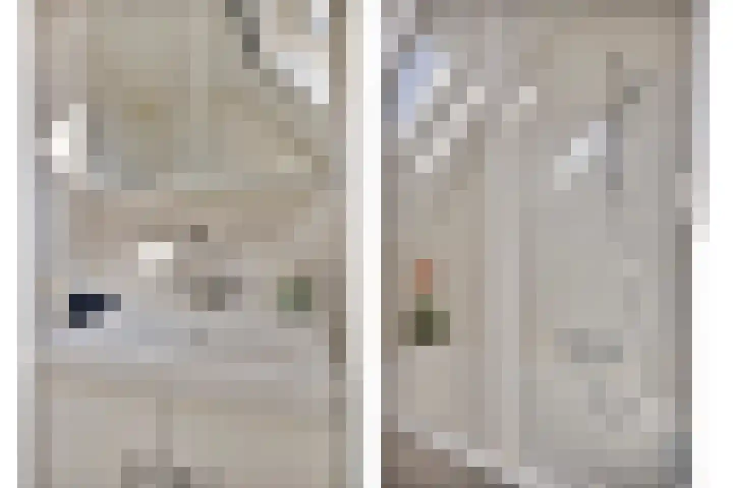 Kap. Verheggenstraat 18 Helden thumbnail 22