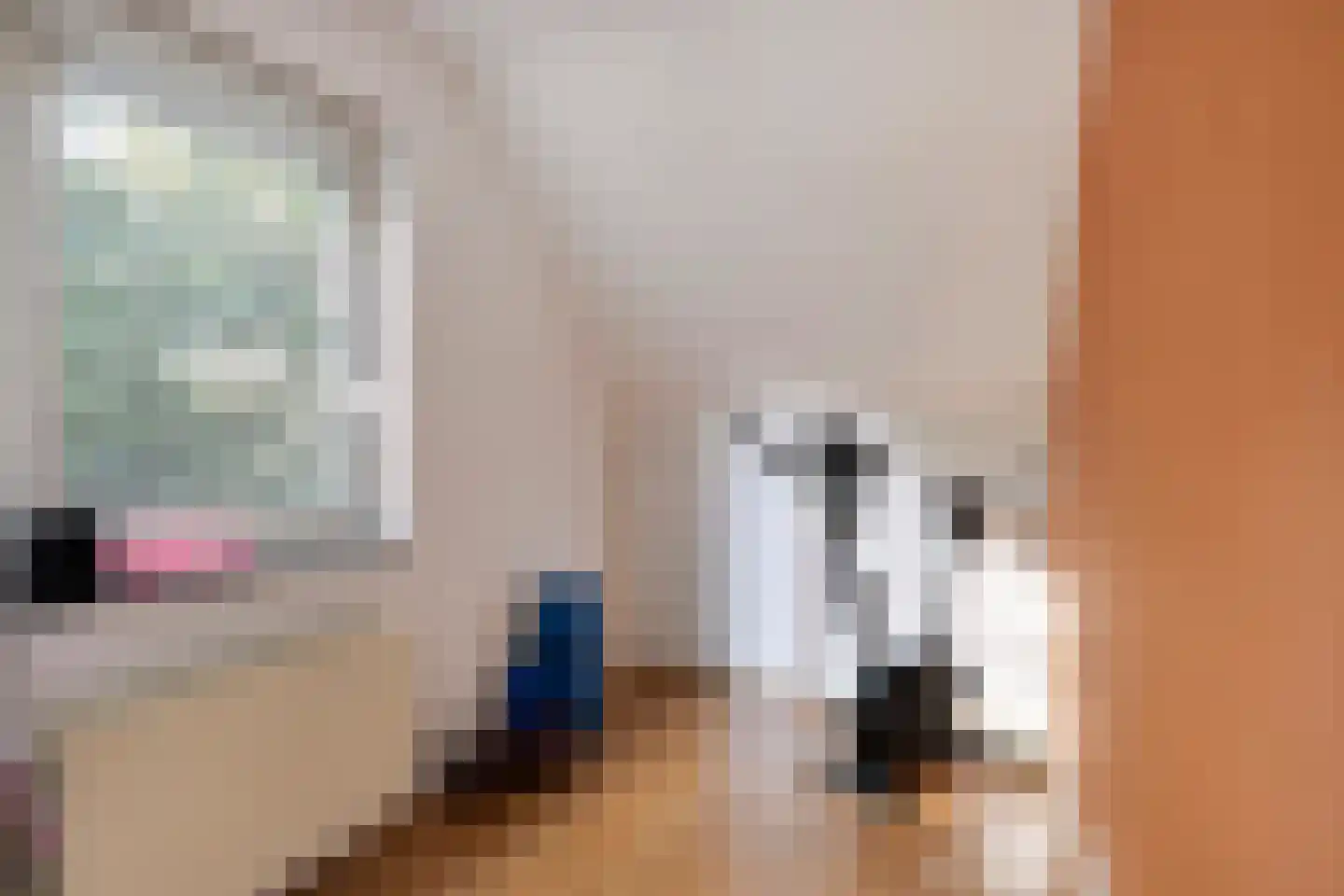Kap. Verheggenstraat 18 Helden thumbnail 25