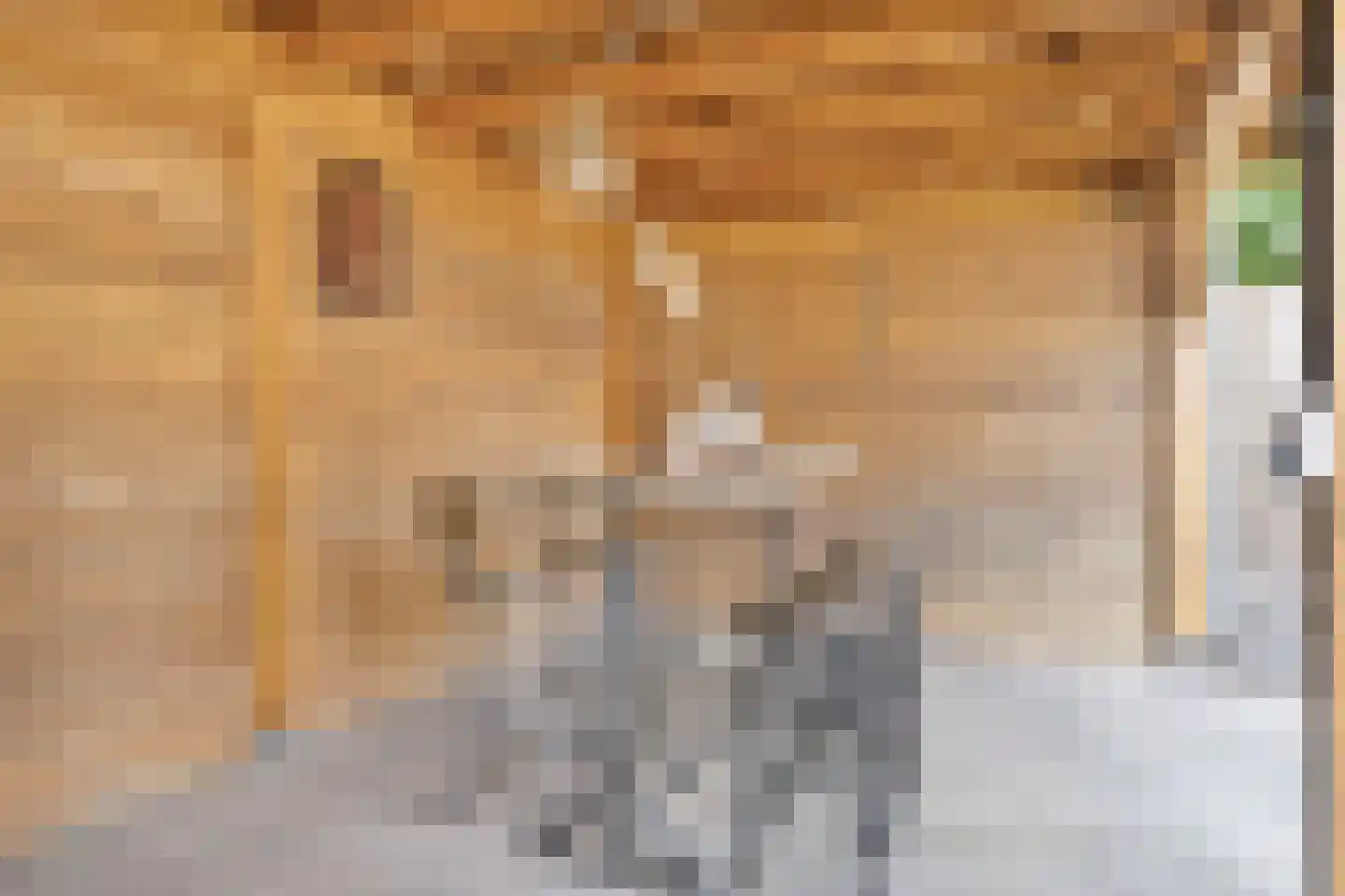 Kap. Verheggenstraat 18 Helden thumbnail 29