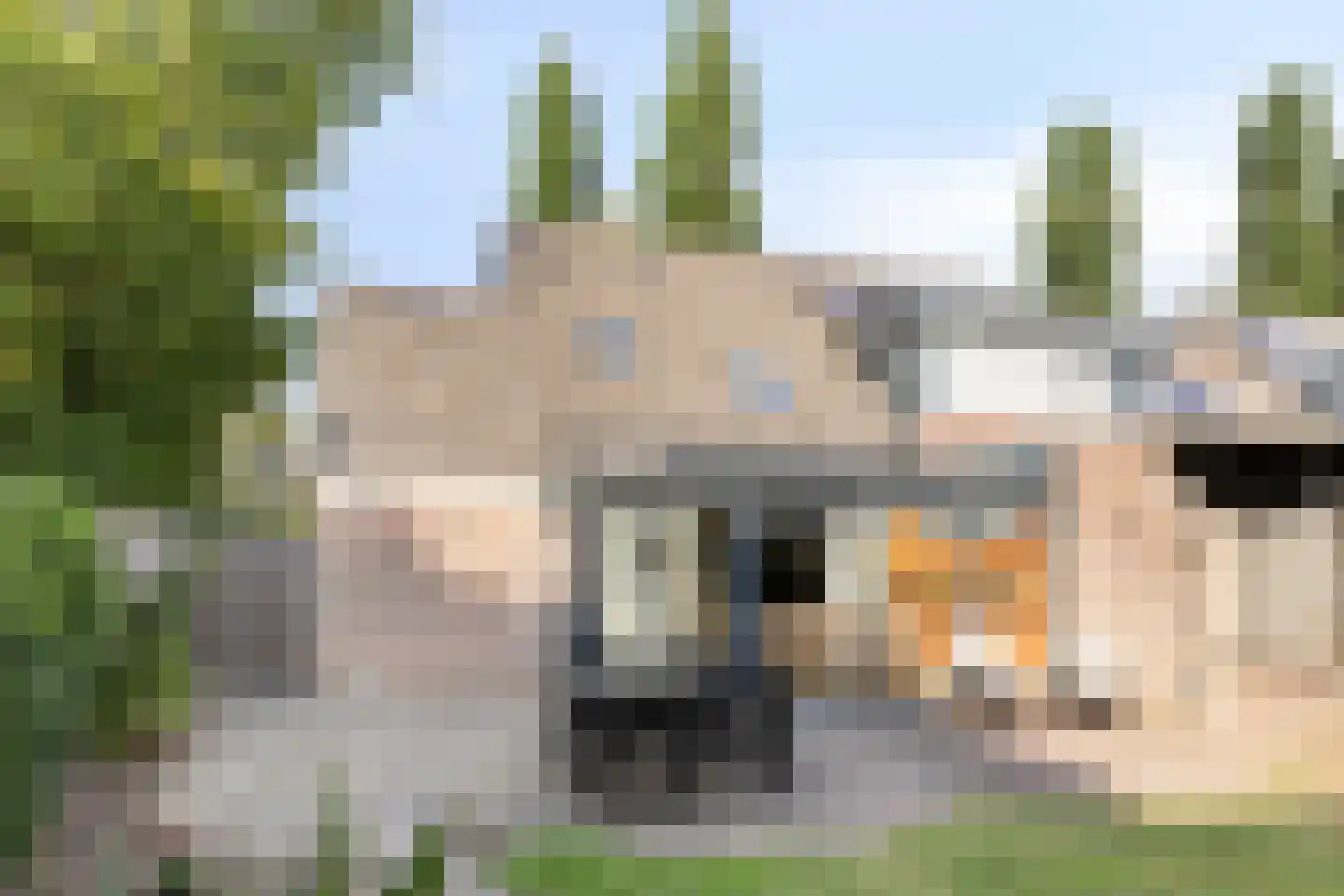 Kap. Verheggenstraat 18 Helden thumbnail 33