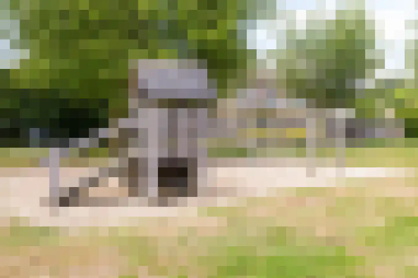Kap. Verheggenstraat 18 Helden thumbnail 38
