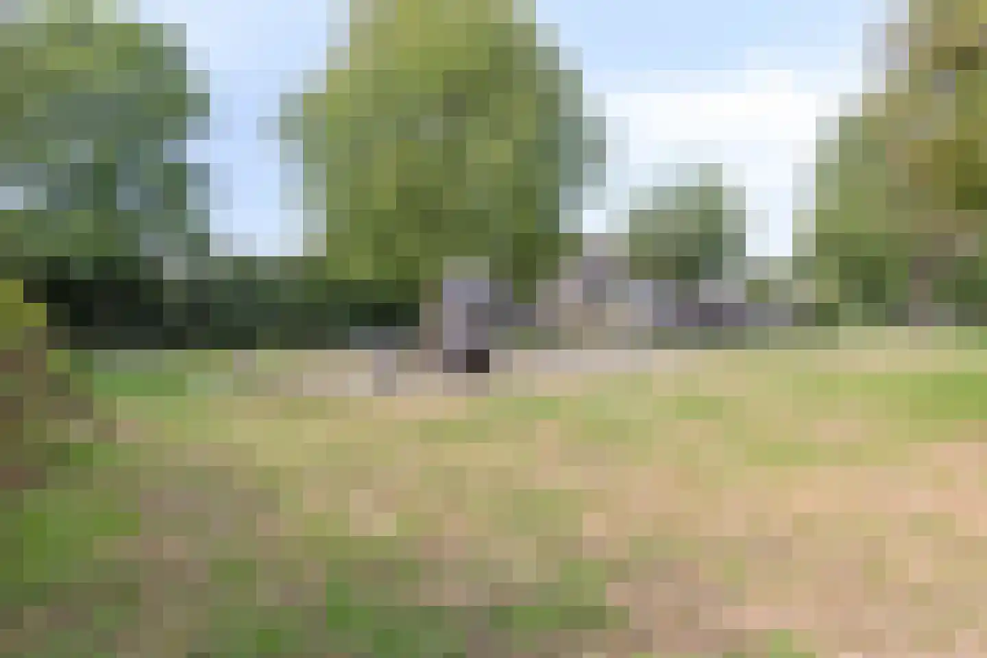 Kap. Verheggenstraat 18 Helden thumbnail 39