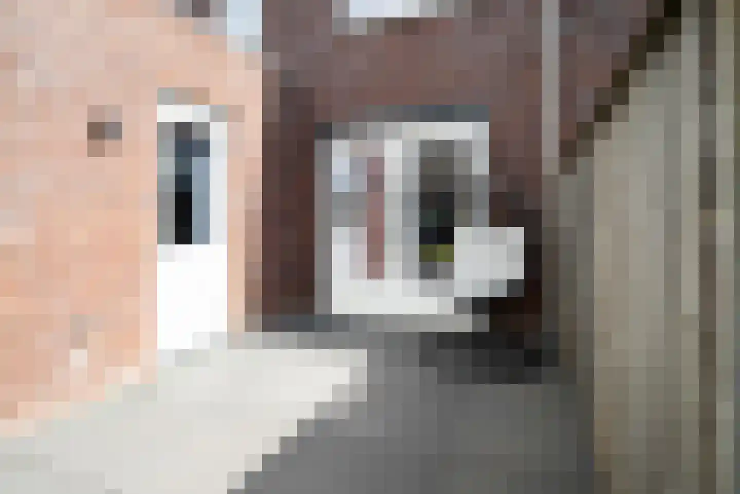 Kapberg 14 Genemuiden thumbnail 20