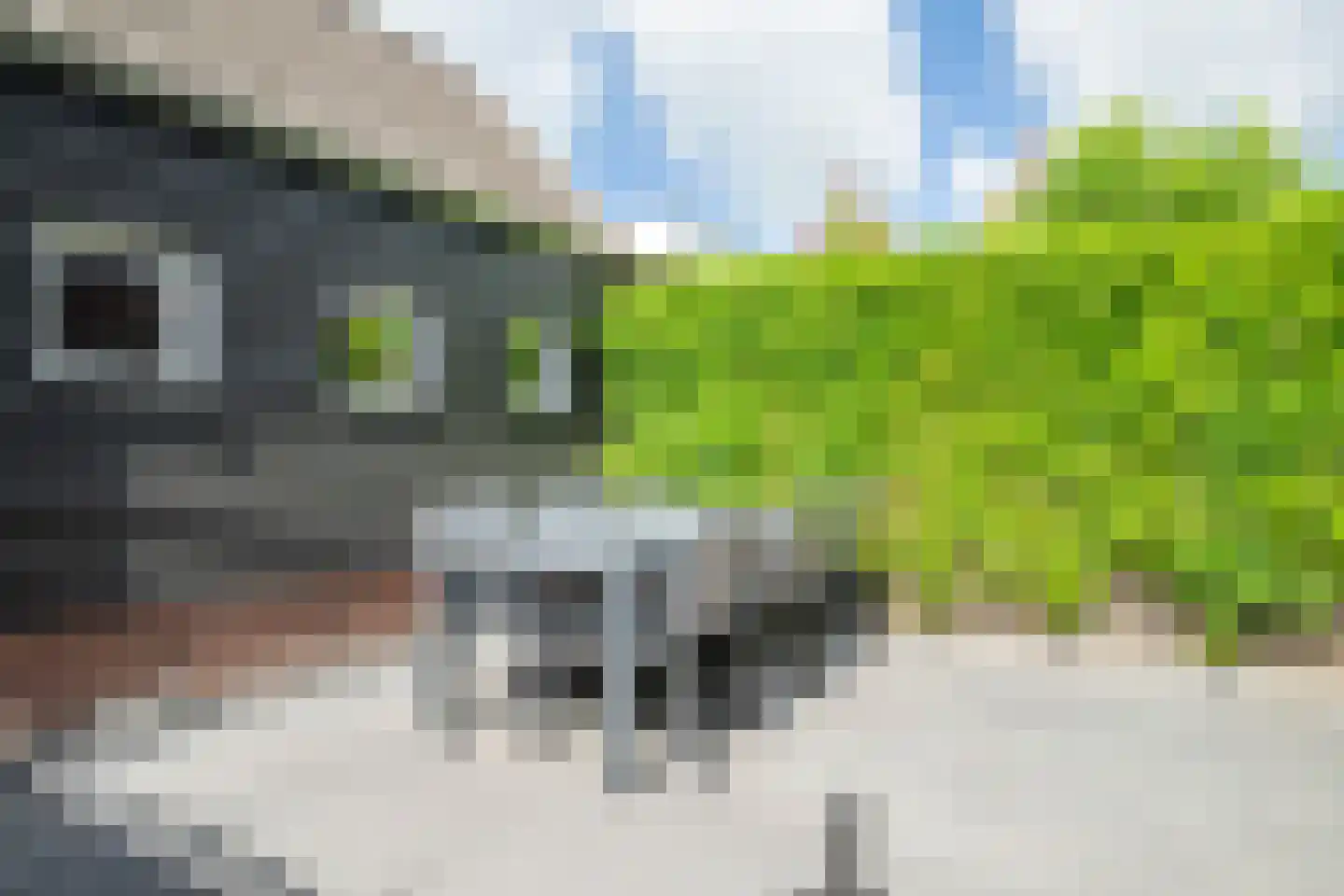 Kapberg 14 Genemuiden thumbnail 23
