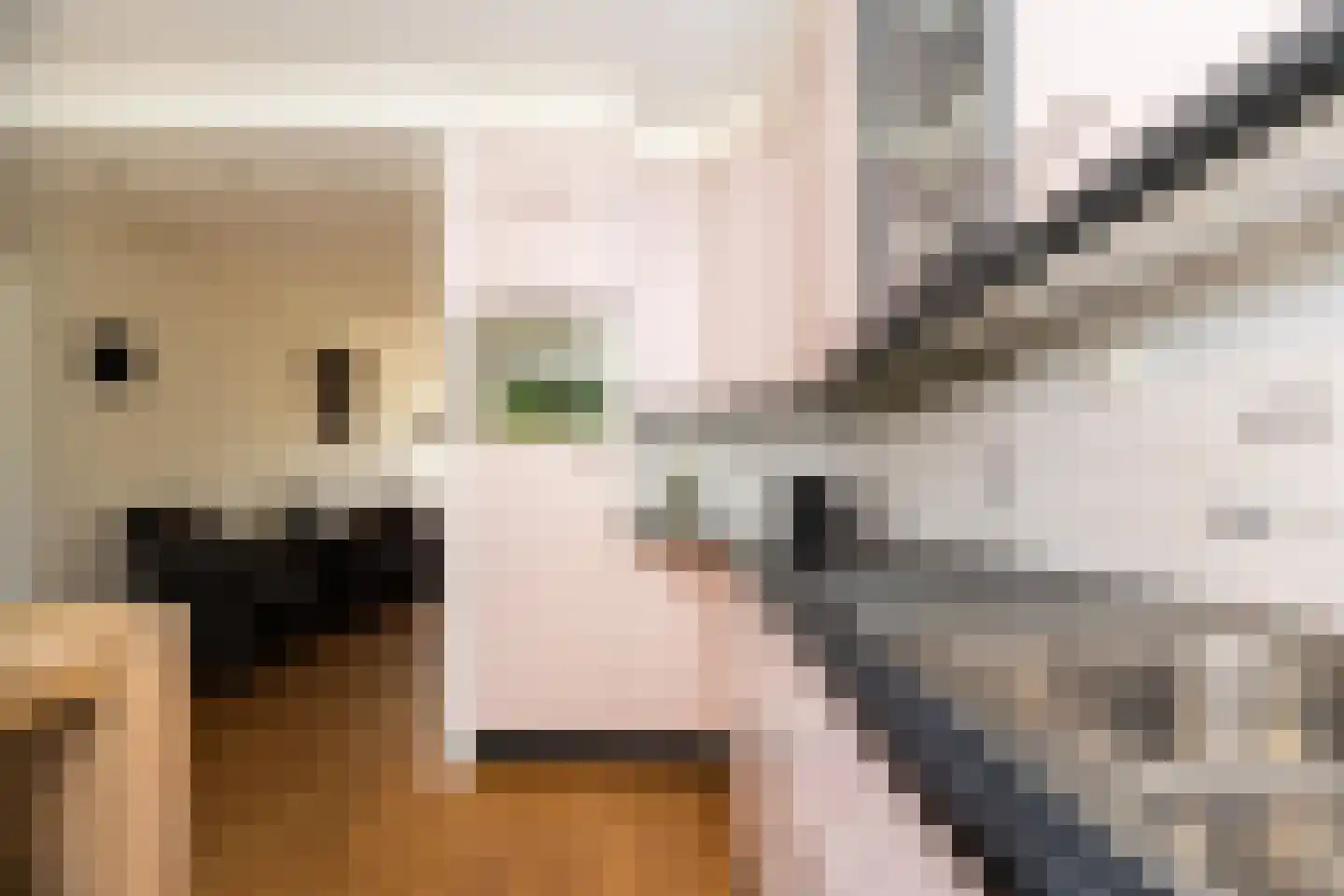 Kapberg 21 Wognum thumbnail 15