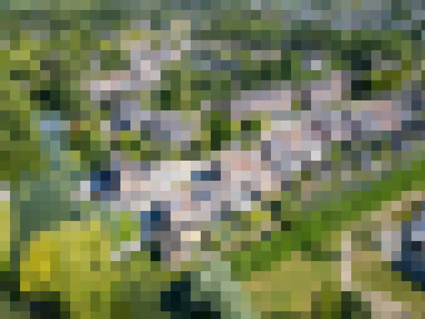 Kapberg 21 Wognum thumbnail 47