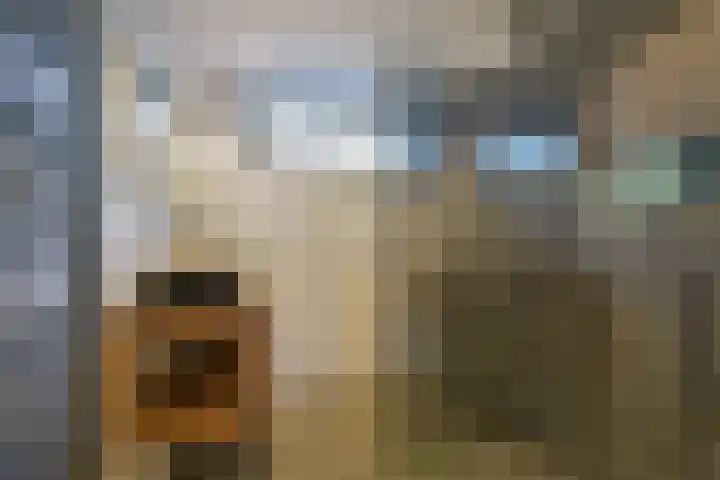Kapberg 25 Wognum thumbnail 18
