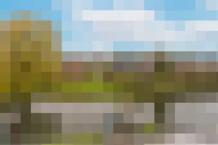 Kapberg 25 Wognum thumbnail 23