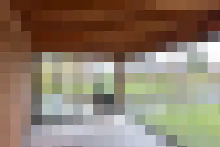 Kapberg 25 Wognum thumbnail 28
