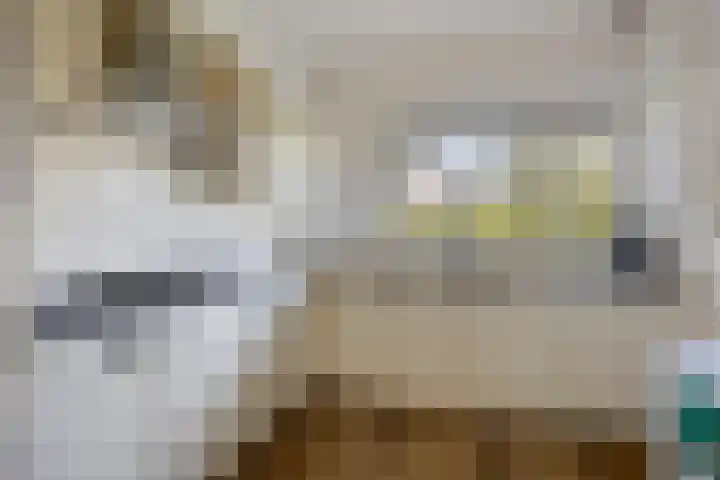 Kapberg 29 Zwaag thumbnail 19