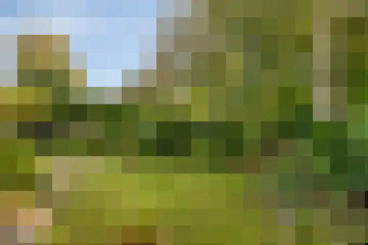 Kapberg 29 Zwaag thumbnail 30