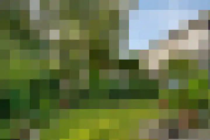 Kapberg 29 Zwaag thumbnail 31